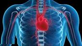 بیماریهای قلبی,  راههاي پيشگيري و كنترل بيماريهاي قلبي عروقي
